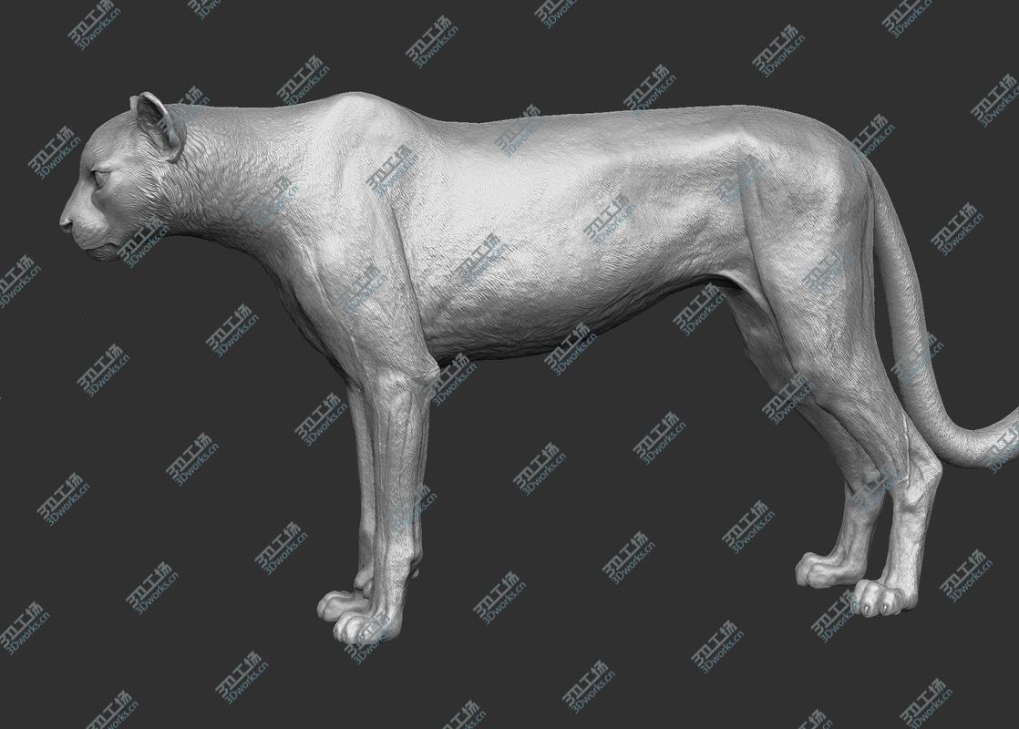 images/goods_img/2021040162/3D Cheetah/4.jpg